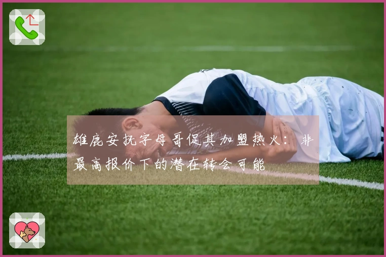 雄鹿安抚字母哥促其加盟热火：非最高报价下的潜在转会可能